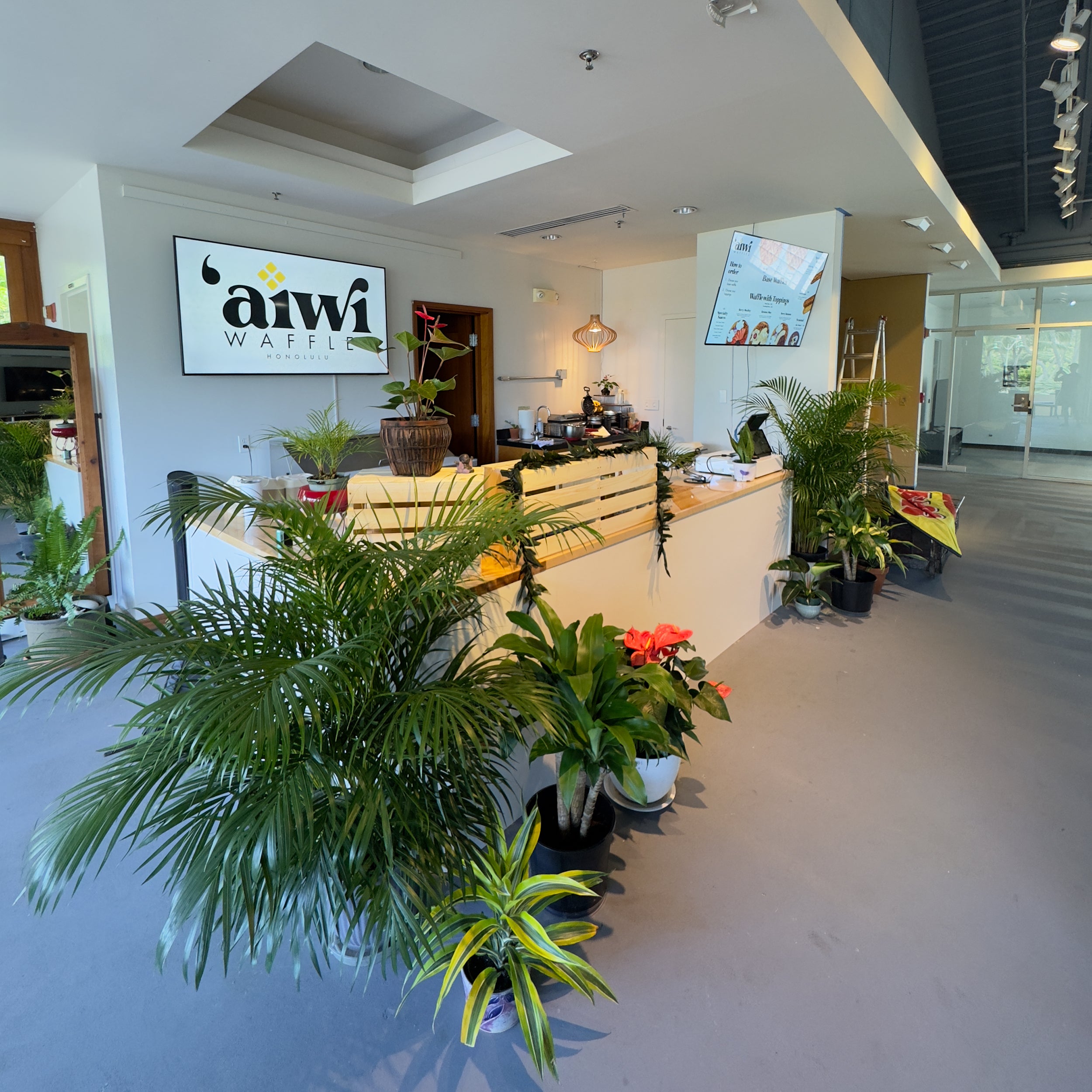 aiwi-waffles-storefront.jpg